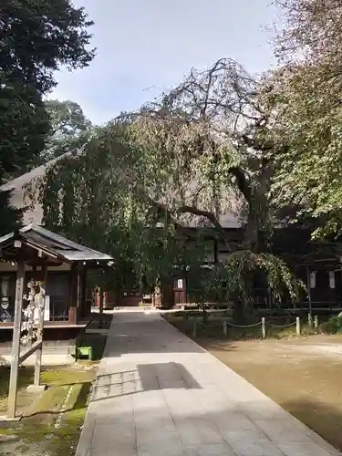 茂林寺の本殿・本堂