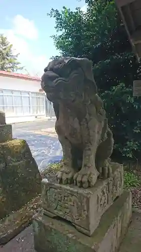 今熊野神社の狛犬