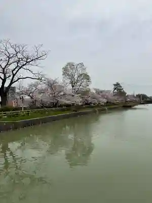 長岡天満宮(京都府)