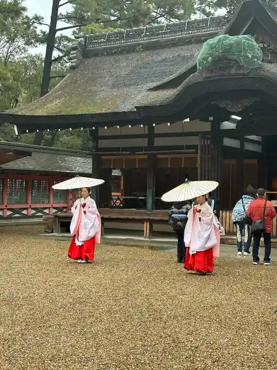 住吉大社(大阪府)
