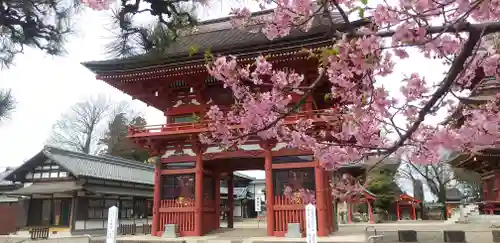 不動院(板橋不動尊)の山門・神門