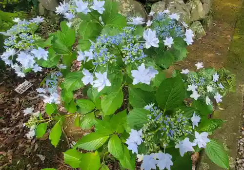 惣河内神社(愛媛県)