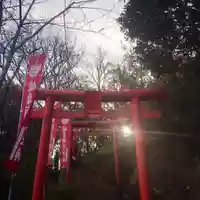 岐阜稲荷山本社の鳥居