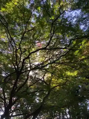都々古別神社(馬場)(福島県)