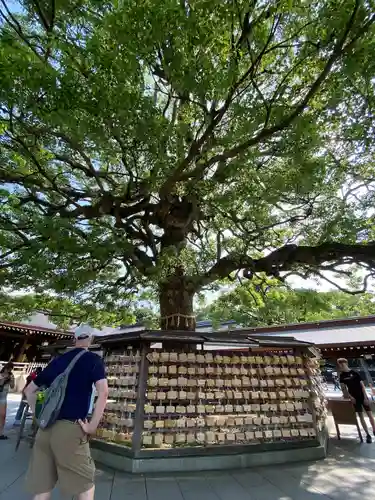 明治神宮(東京都)