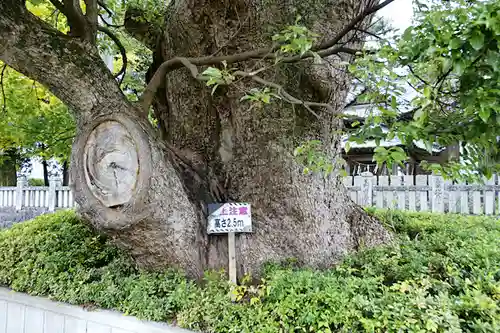 勢力神社(徳島県)