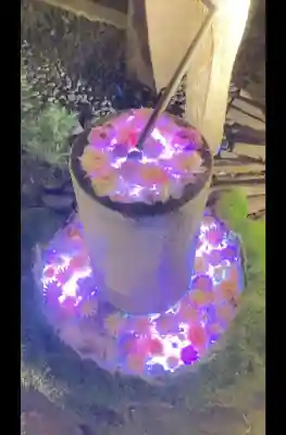 行田八幡神社の{uncategorized: "未分類", other: "その他", undefined: "問題あり", building: "その他建物", grave: "お墓", sacred_gate: "鳥居", guardian: "狛犬", statue: "像", buddha: "仏像", history: "歴史", nature: "自然", garden: "庭園", animal: "動物", pagoda: "塔", temizu: "手水舎", mountain_gate: "山門・神門", sanctuary: "本殿・本堂", subordinate: "末社・摂社", art: "芸術", scenery: "景色", jizo: "地蔵", ema: "絵馬", goshuin: "御朱印", omikuji: "おみくじ", items: "授与品その他", amulet: "お守り", goshuincho: "御朱印帳", eats: "食事", festival: "お祭り", votive_dance: "神楽", shichigosan: "七五三参", wedding: "結婚式", experience: "体験その他", initially: "初詣", around: "周辺", anti_infection: "感染症対策"}