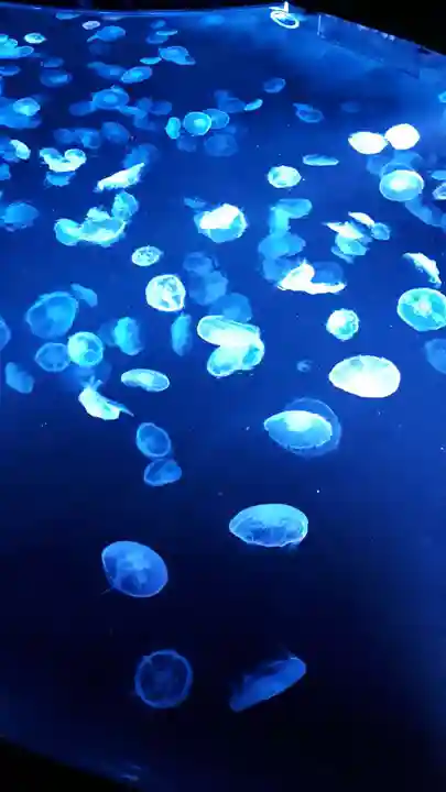 押上天祖神社の周辺