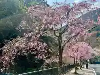 林蔵坊(山梨県)