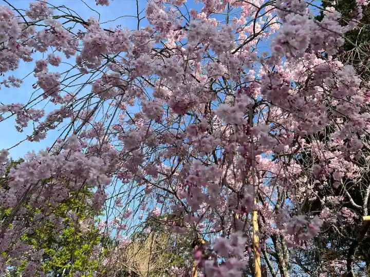 宗忠神社(京都府)