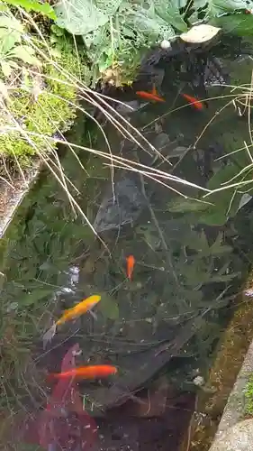 神炊館神社 ⁂奥州須賀川総鎮守⁂(福島県)