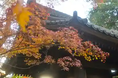 円覚寺(神奈川県)