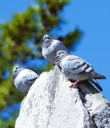三津厳島神社(愛媛県)