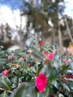 縣諏訪神社(長野県)