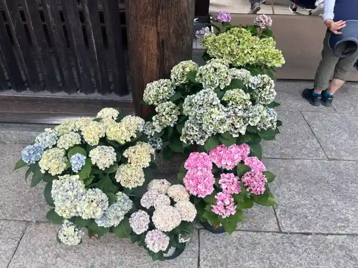 長谷寺(奈良県)