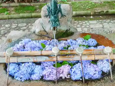 新宮八幡神社(兵庫県)