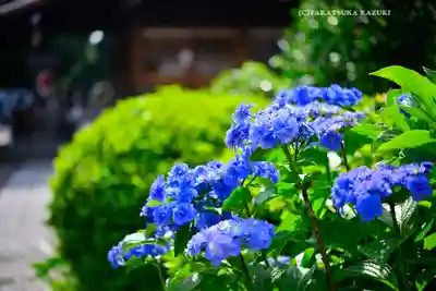 本郷氷川神社(東京都)