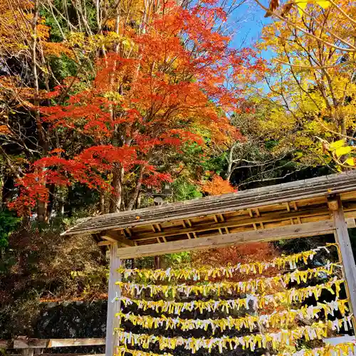 秋葉山本宮 秋葉神社 上社のおみくじ