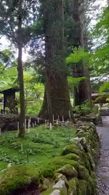 宝積山光前寺(長野県)