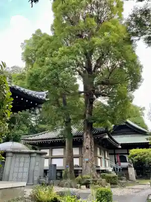 常楽寺(神奈川県)