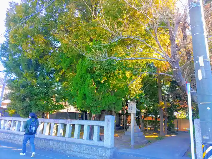 宗形神社の自然