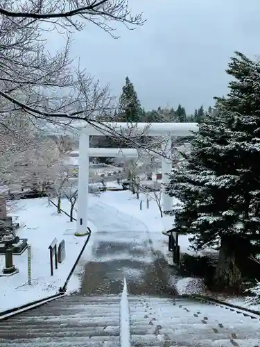 土津神社｜こどもと出世の神さまの鳥居