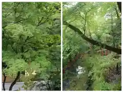 貴船神社(京都府)