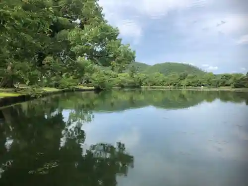 大覚寺の景色