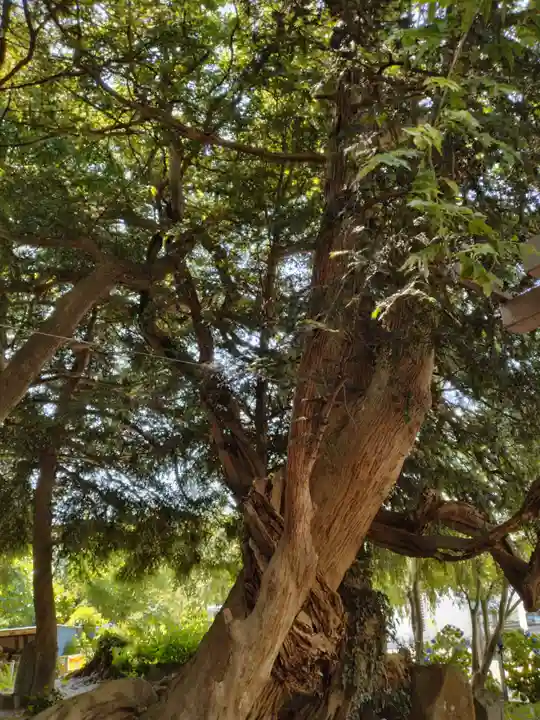 深山神社(福島県)