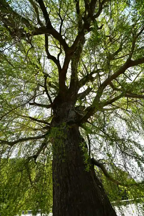 丹生酒殿神社(和歌山県)