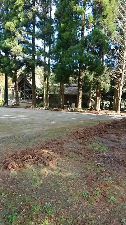 十島菅原神社の自然