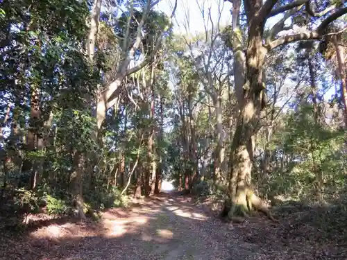 沼尾神社の自然