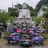 南法華寺(壷阪寺)(奈良県)