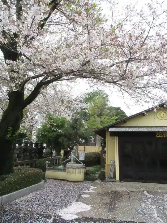 真光寺(千葉県)