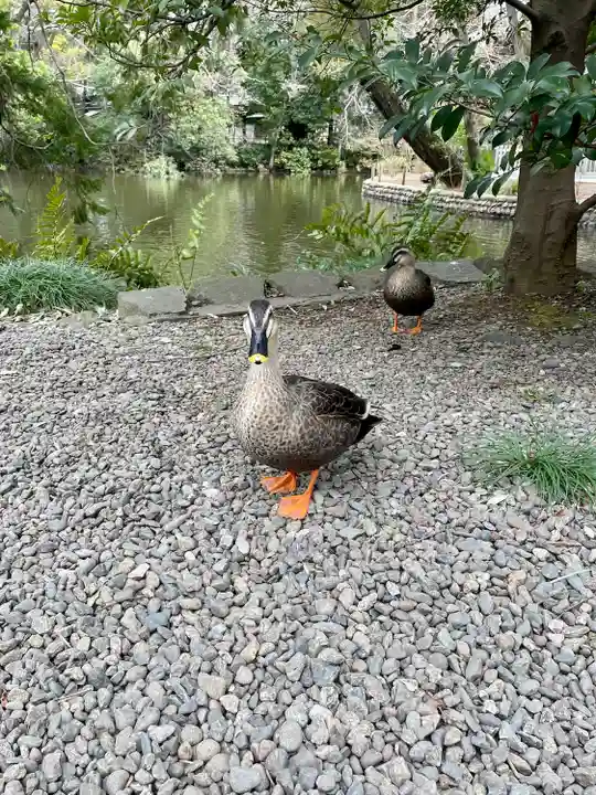 武蔵一宮氷川神社(埼玉県)