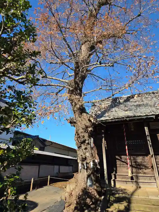 羽黒神社(埼玉県)
