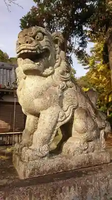 三柱神社（駒場町）の狛犬