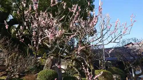 太宰府天満宮の庭園