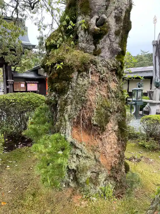 常喜院(和歌山県)