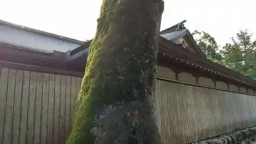 伊勢神宮外宮（豊受大神宮）のその他建物