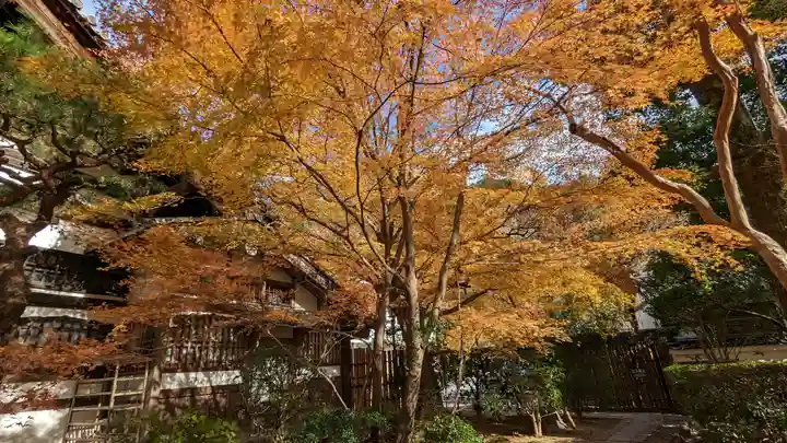 龍安寺(京都府)