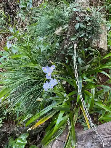 清水寺(岐阜県)