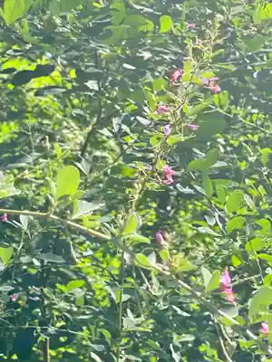 梨木神社(京都府)
