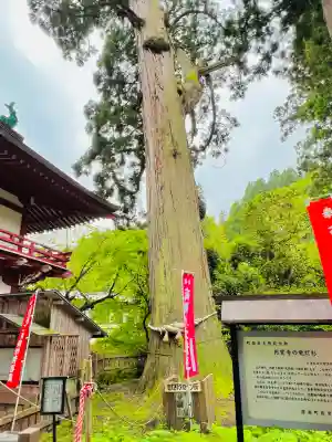 円覚寺(青森県)