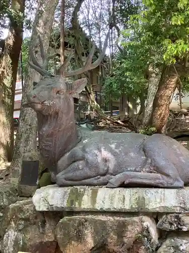 春日大社(奈良県)