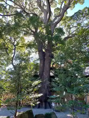 伊勢山皇大神宮(神奈川県)