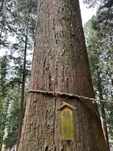 恵那神社(岐阜県)