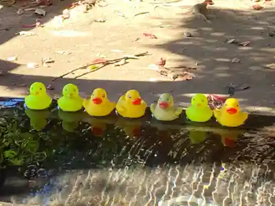 柏諏訪神社の手水舎