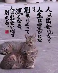 専念寺の動物