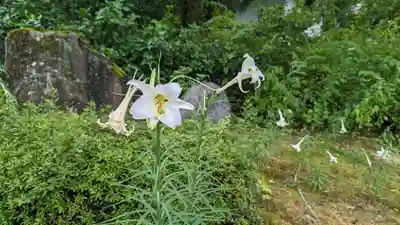 本法寺(京都府)